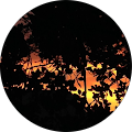 M A Avatar
